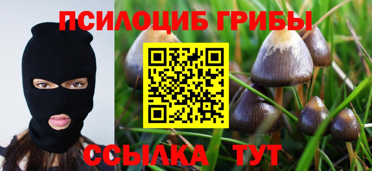 Галлюциногенные грибы ЛСД  Вход с VPN  Зеленодольск 